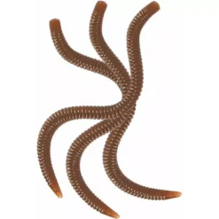 APPAT ARTIFICIEL TRUITE INNOVATION VERS DE TERRE