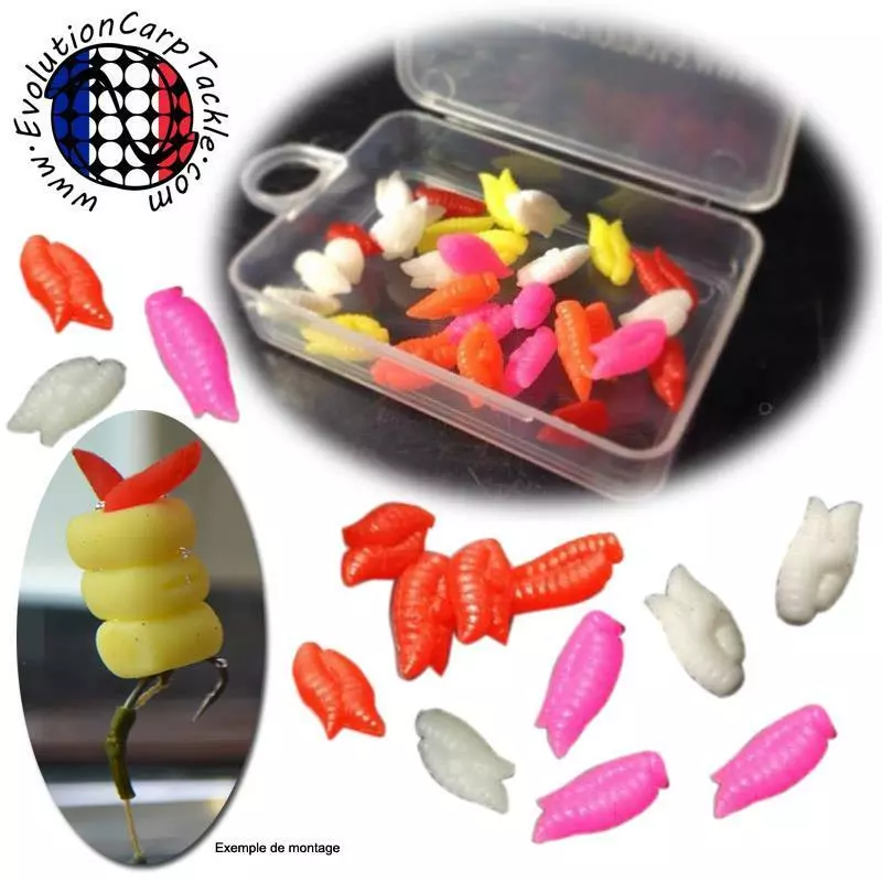 ASTICOT DOUBLE EVOLUTION CARP TACKLE - PAR 15 1 ASTICOT DOUBLE EVOLUTION CARP TACKLE - PAR 15