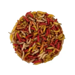 Pecheur.com ASTICOTS GOZZERS COULEURS