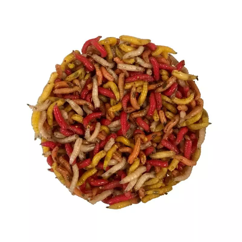 Pecheur.com ASTICOTS GOZZERS COULEURS 1 Pecheur.com ASTICOTS GOZZERS COULEURS