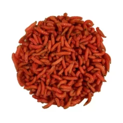 Pecheur.com ASTICOTS GOZZERS ORANGE