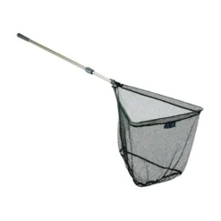 EPUISETTE AUTAIN ATTACK