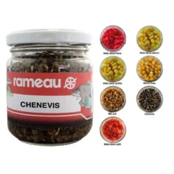 GRAINE PREPAREE RAMEAU