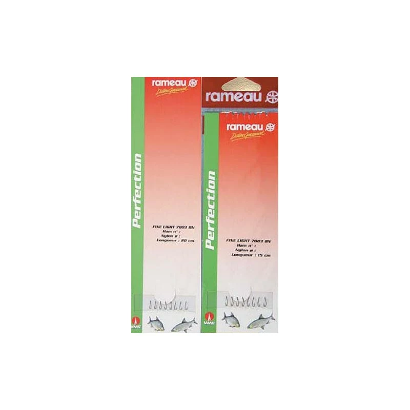 HAMECON MONTE COUP COMPETITION RAMEAU 7003BN - PAR 8 1 HAMECON MONTE COUP COMPETITION RAMEAU 7003BN - PAR 8