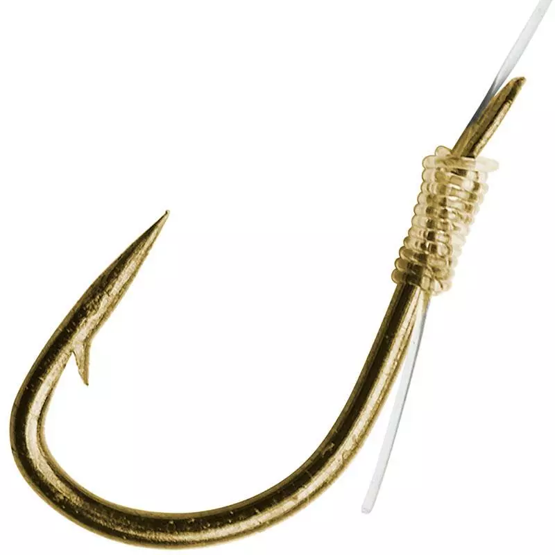 HAMECON MONTE DAM SPEZI ASTICOTS 1 HAMECON MONTE DAM SPEZI ASTICOTS