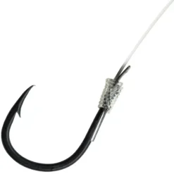 HAMECON MONTE DAM SPEZI CARPE