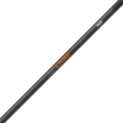 MANCHE D EPUISETTE RIVE ES CARP