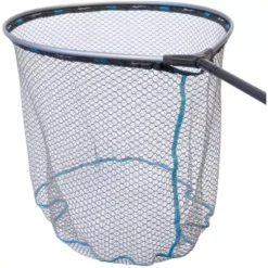 TÊTE D ÉPUISETTE RIVE SPECIMEN